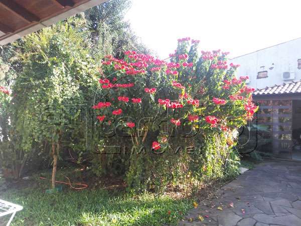 Casa 3 quarto(s)  no bairro So Sebastio