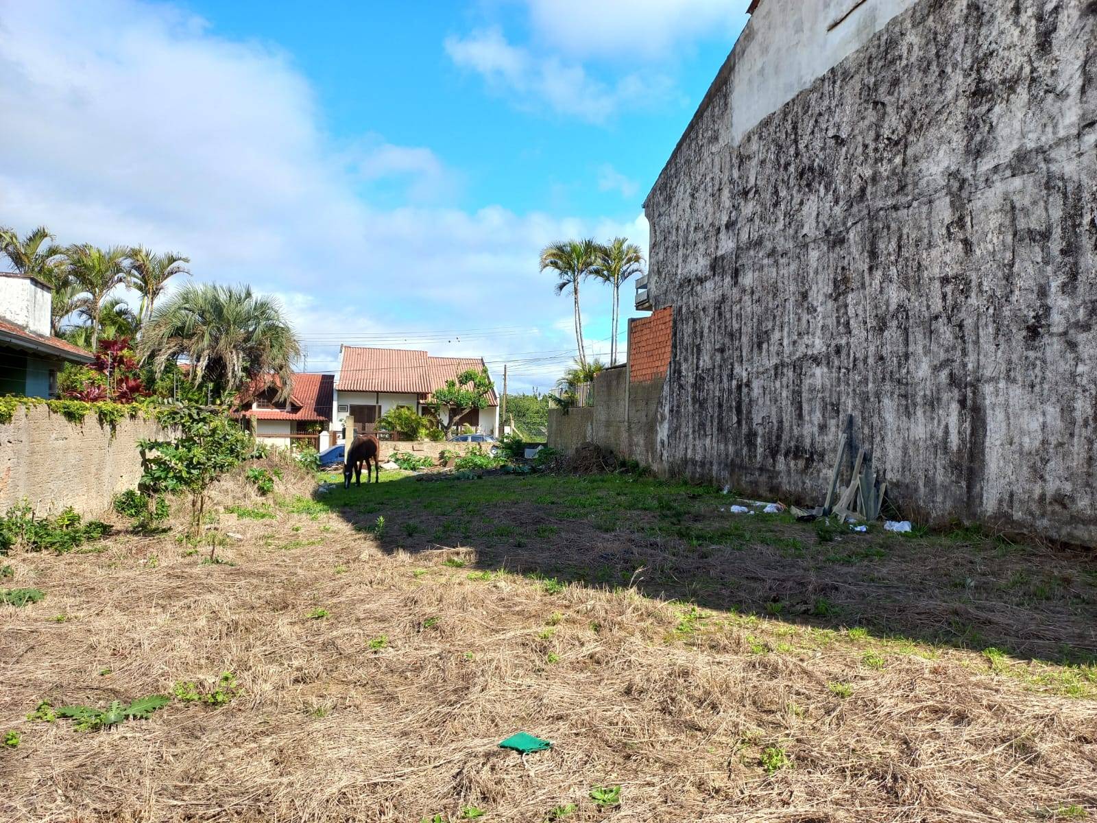 Terreno no Vila Nova - Soper Imóveis