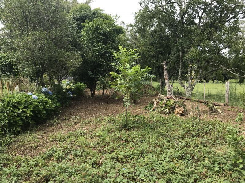 Terreno no Parque Osis