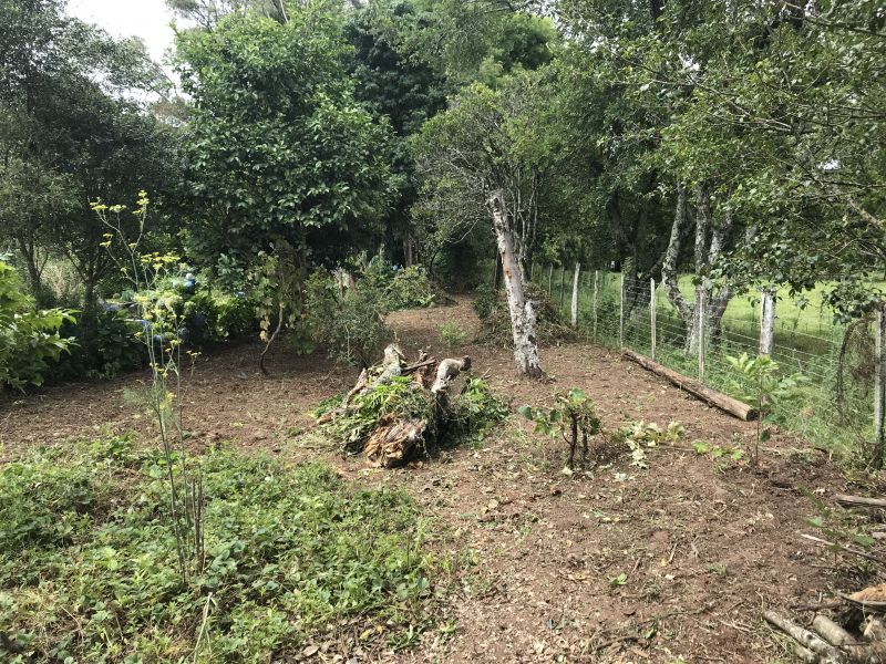 Terreno no Parque Osis