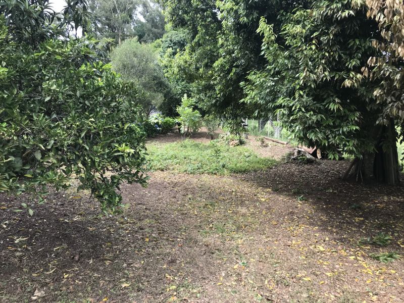 Terreno no Parque Osis