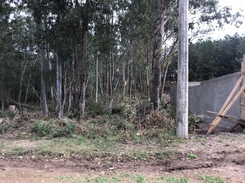 Terreno no Cerrito