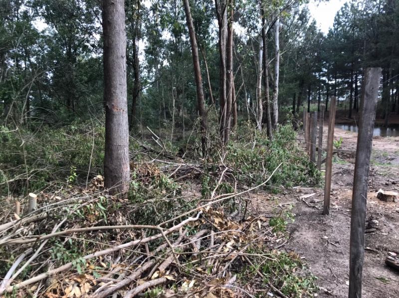 Terreno no Cerrito