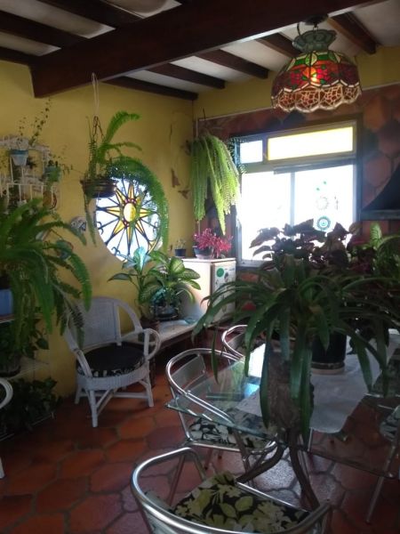 Apartamento 3 dormitórios no bairro Centro