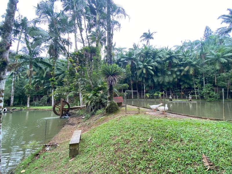Chácara à venda no bairro Barra do Rio Molha
