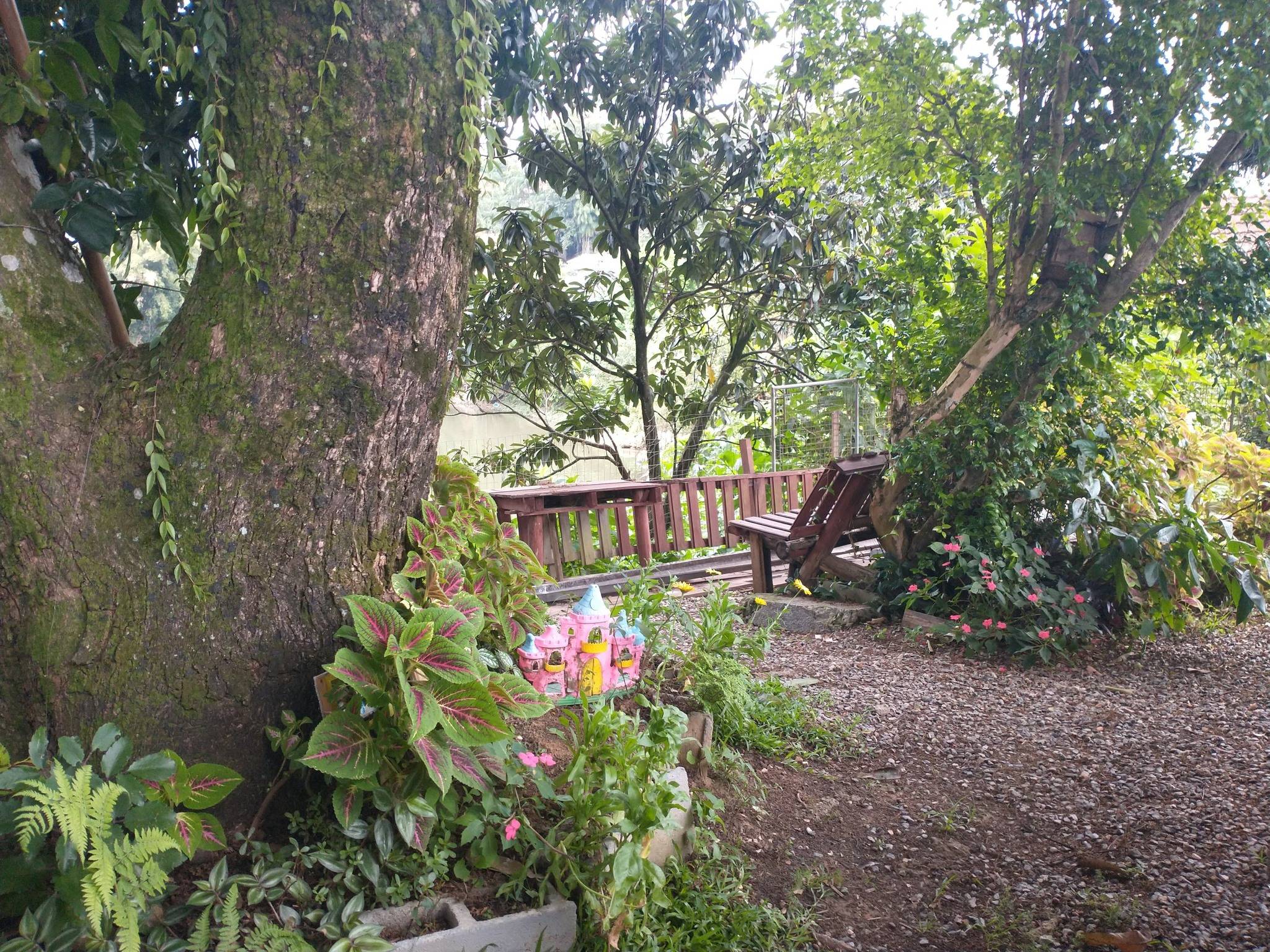 Casa à venda no bairro Jaraguá Esquerdo