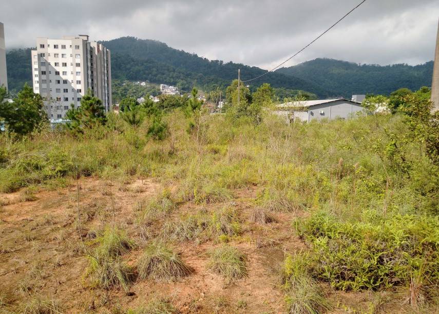 Terreno à venda no bairro São Luís