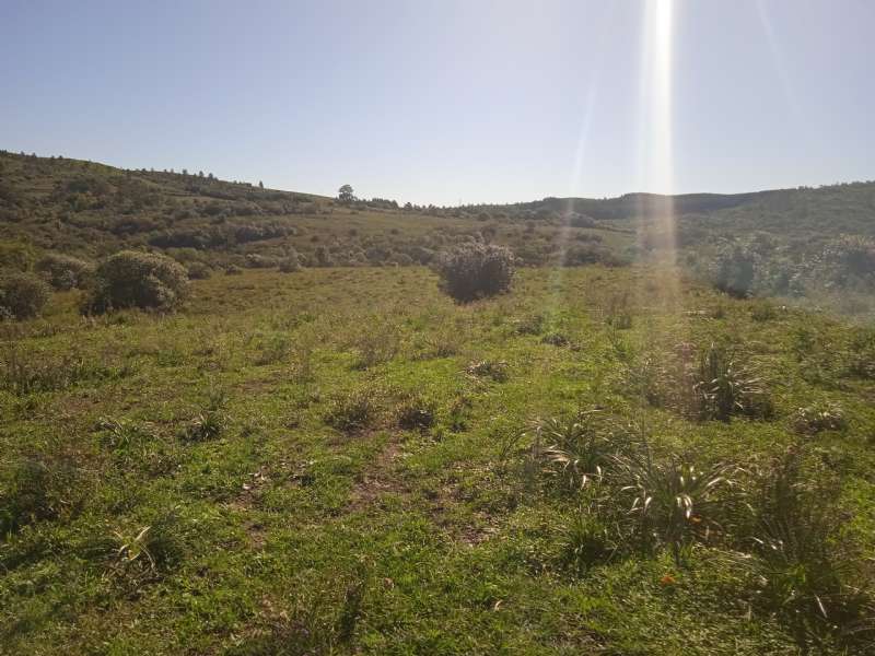 CAMPO no Barro Vermelho