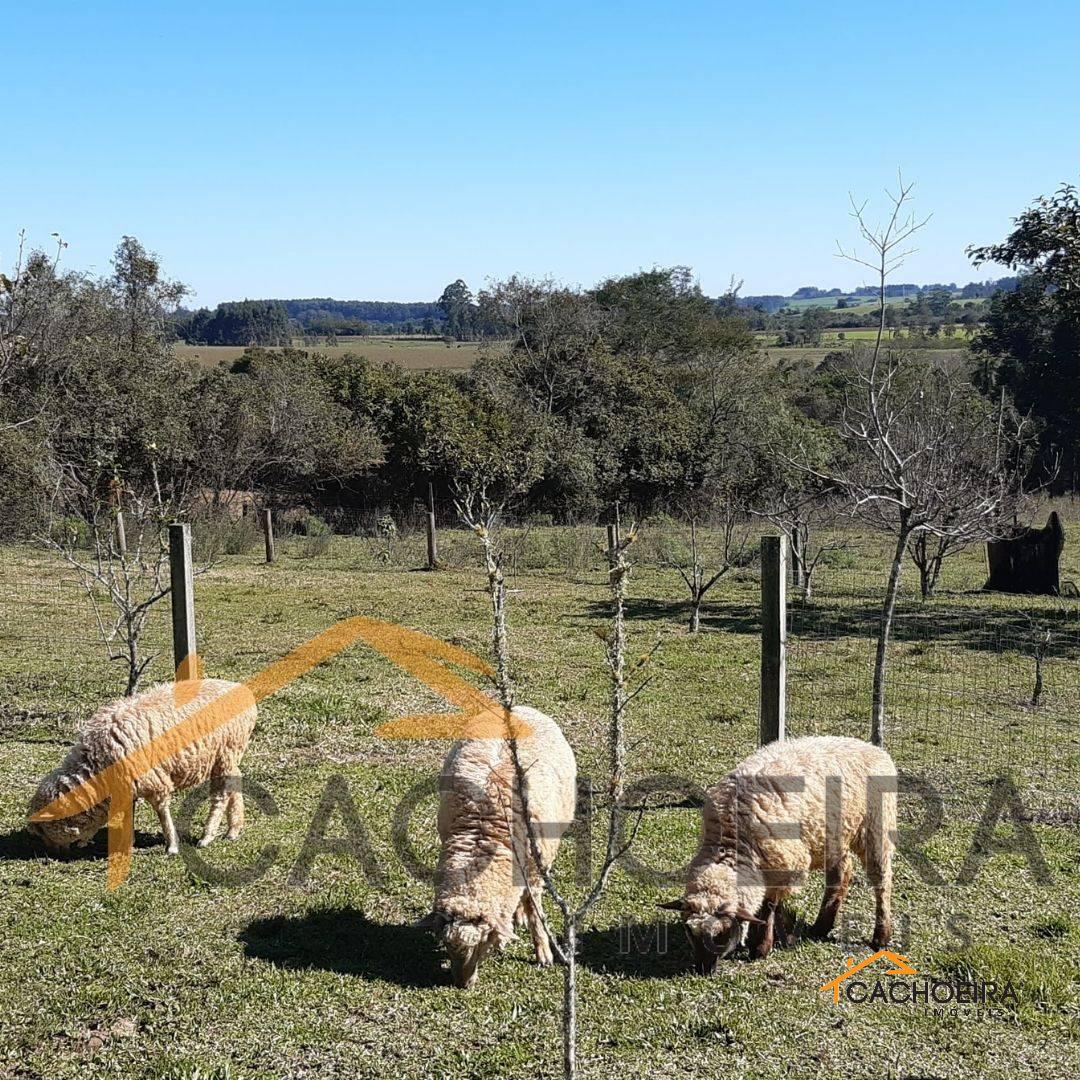 CHÁCARA no Bosque