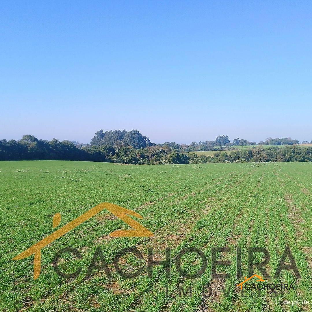 CAMPO no Três Vendas