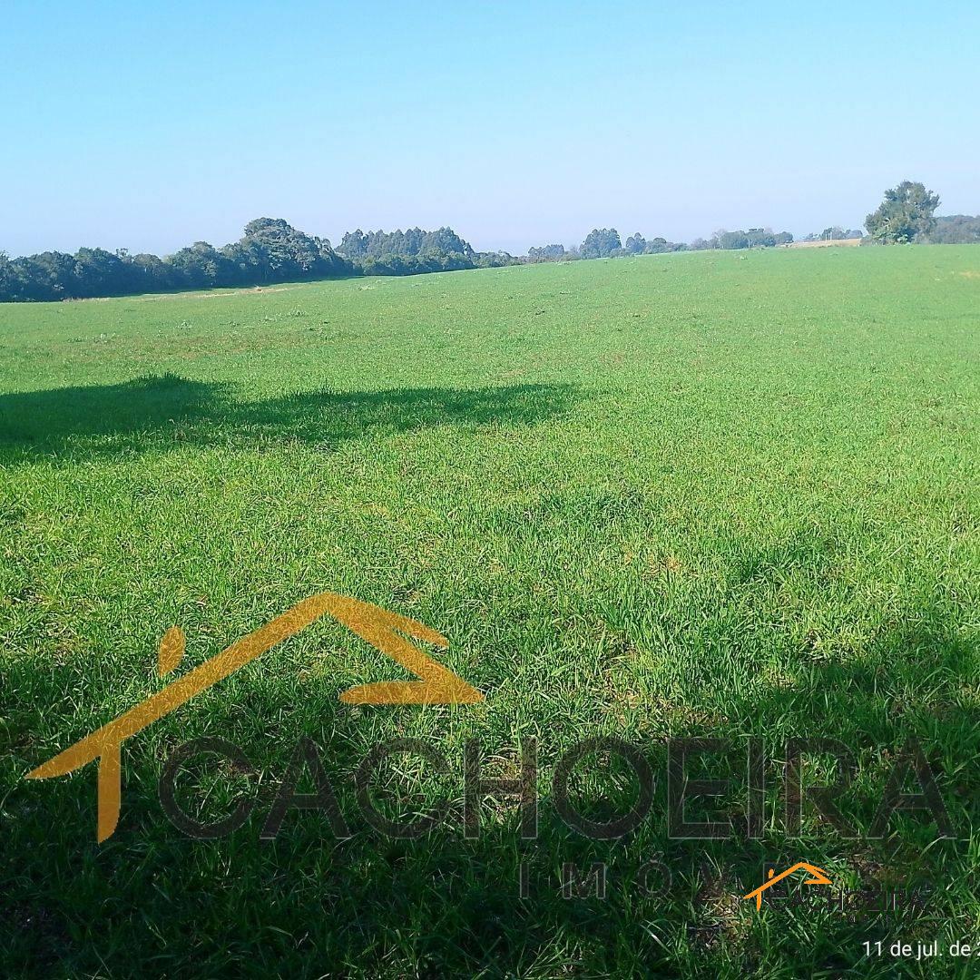 CAMPO no Três Vendas