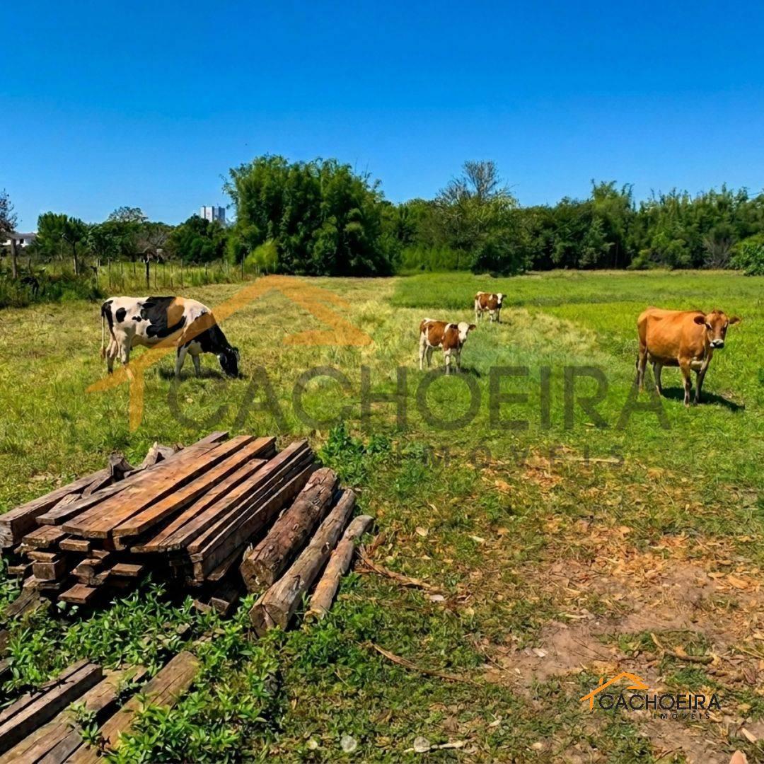 CHÁCARA 3 quarto(s)  no Centro