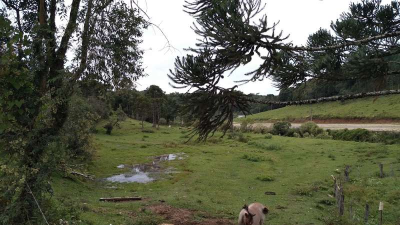 Terreno urbano no bairro Centro