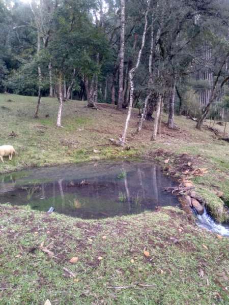 Chácara 2 quartos no bairro Fazenda São Jose