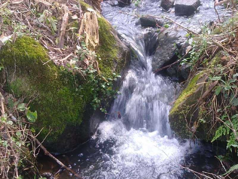 Chácara 2 quartos no bairro Fazenda São Jose