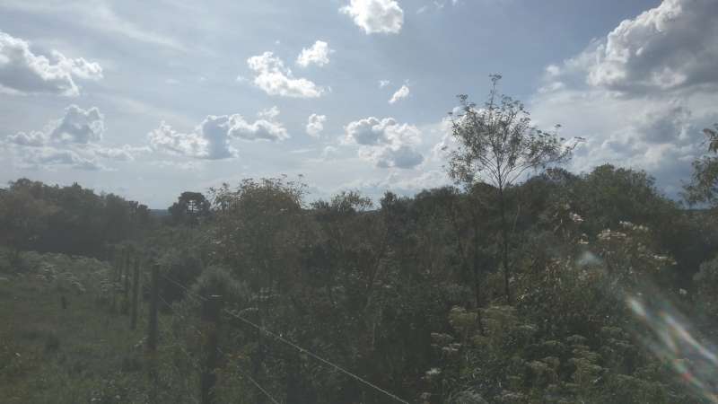 Terreno rural no bairro Fazenda São Jose