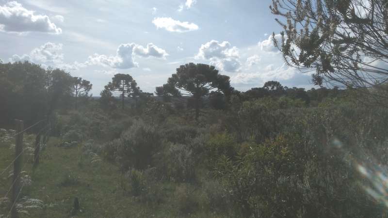 Terreno rural no bairro Fazenda São Jose