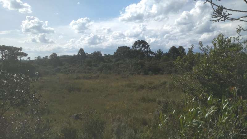 Terreno rural no bairro Fazenda São Jose