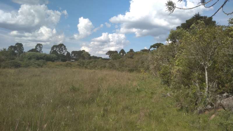 Terreno rural no bairro Fazenda São Jose