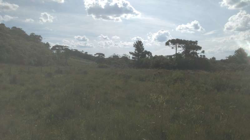 Terreno rural no bairro Fazenda São Jose
