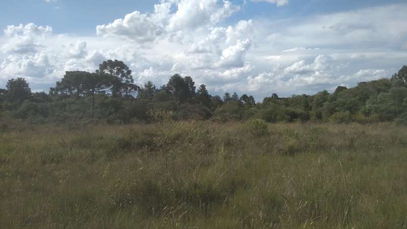 Terreno rural no bairro Fazenda São Jose