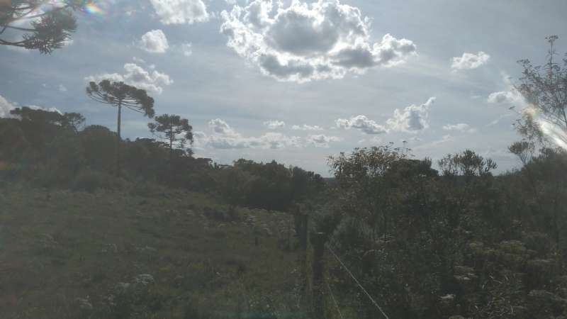 Terreno rural no bairro Fazenda São Jose