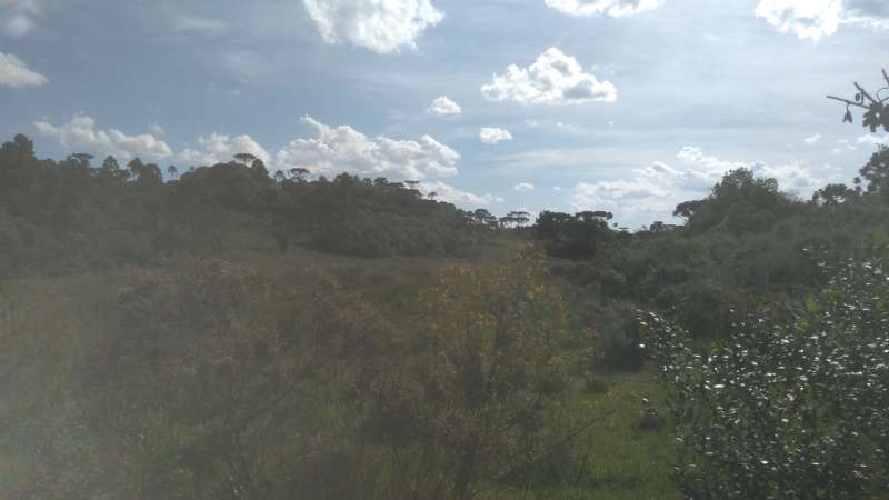 Terreno rural no bairro Fazenda São Jose