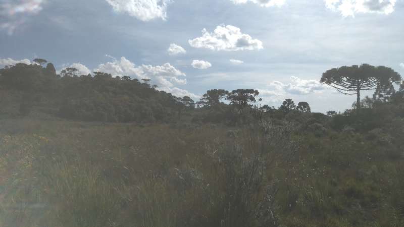 Terreno rural no bairro Fazenda São Jose