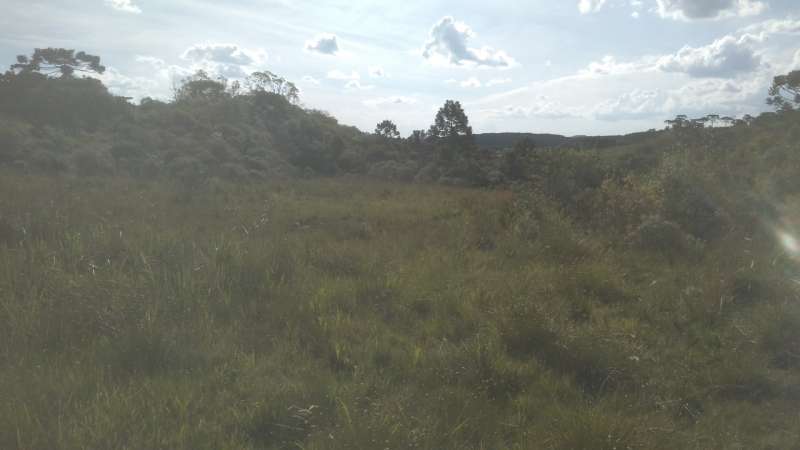 Terreno rural no bairro Fazenda São Jose