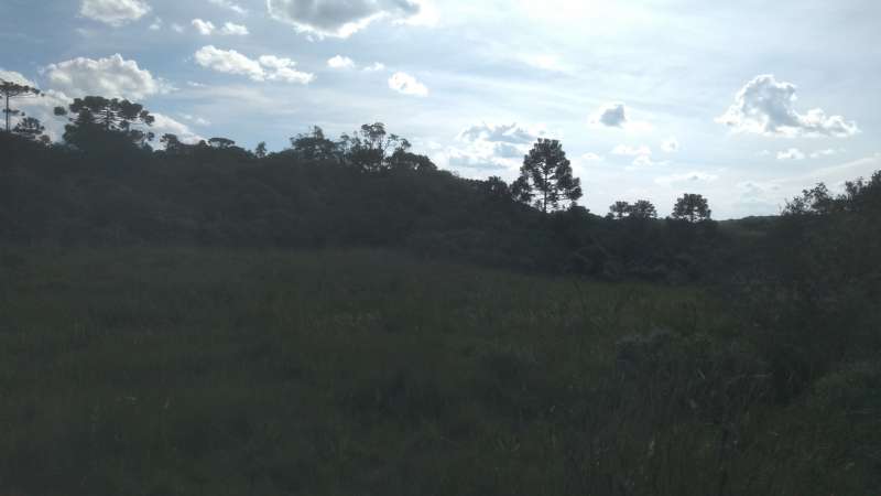 Terreno rural no bairro Fazenda São Jose
