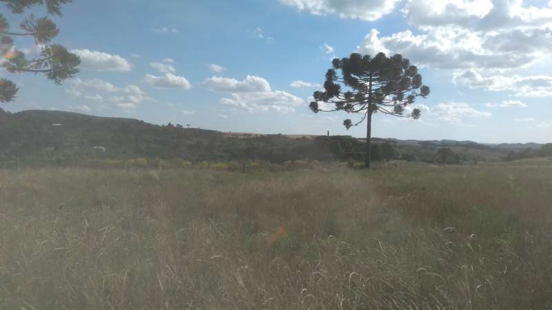 Terreno rural no bairro Fazenda São Jose