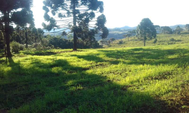Sítio no bairro lava tudo
