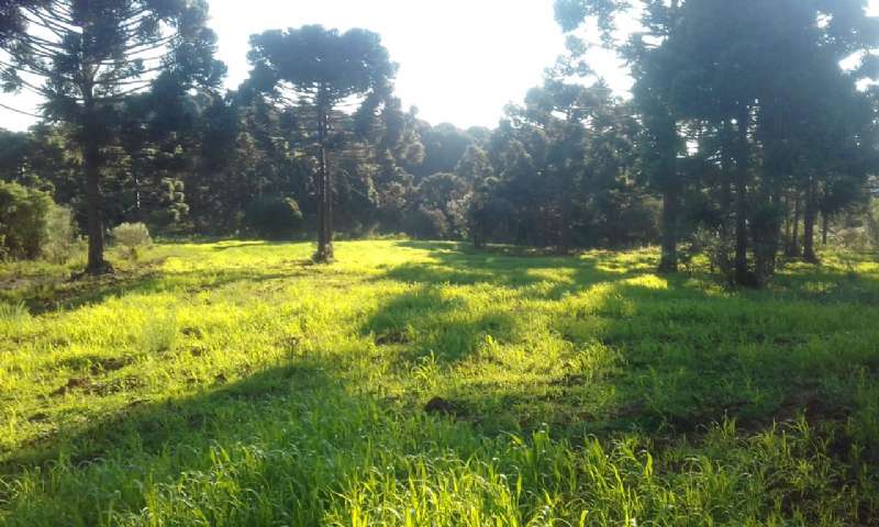 Sítio no bairro lava tudo