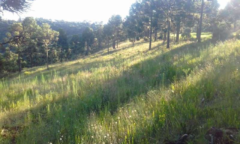 Sítio no bairro lava tudo