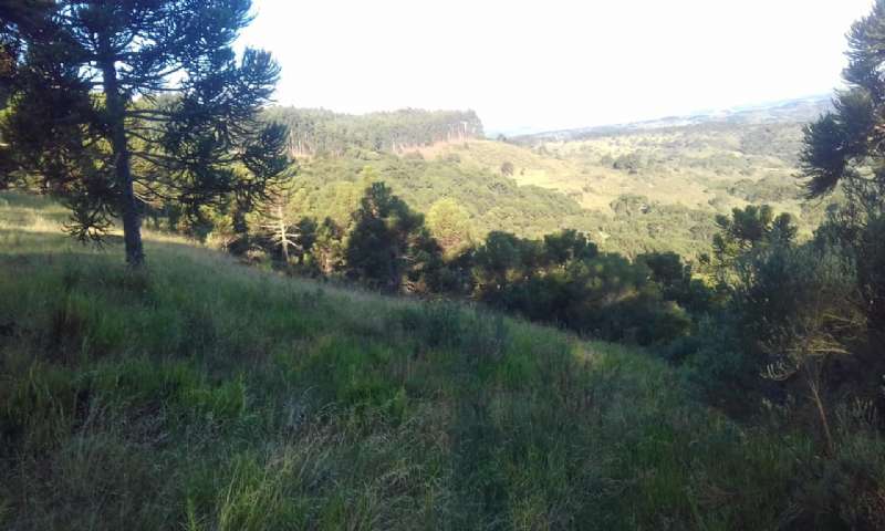 Sítio no bairro lava tudo