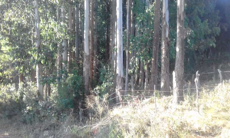 Sítio no bairro lava tudo