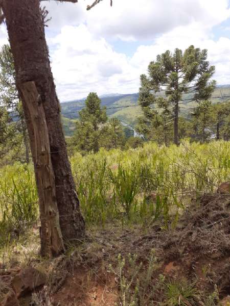 Sítio no bairro lava tudo