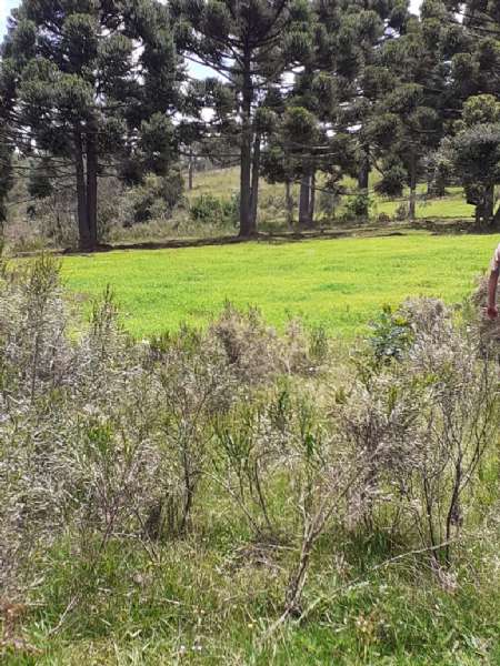 Sítio no bairro lava tudo