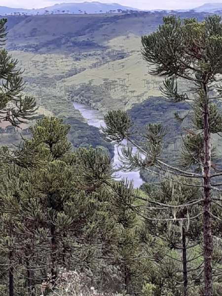 Sítio no bairro lava tudo
