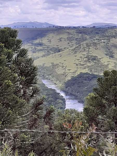 Sítio no bairro lava tudo