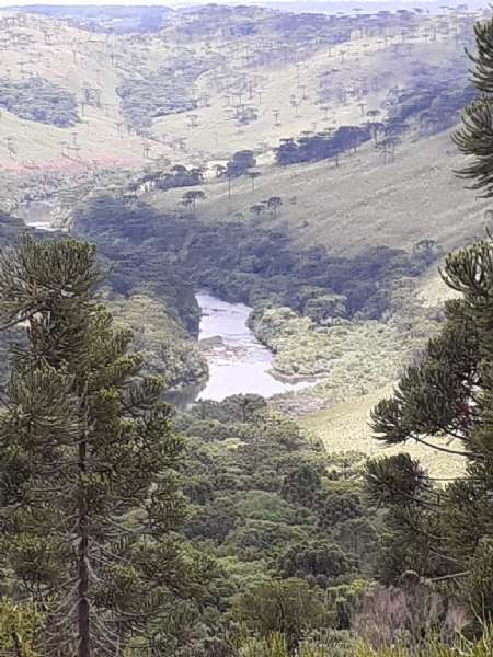 Sítio no bairro lava tudo