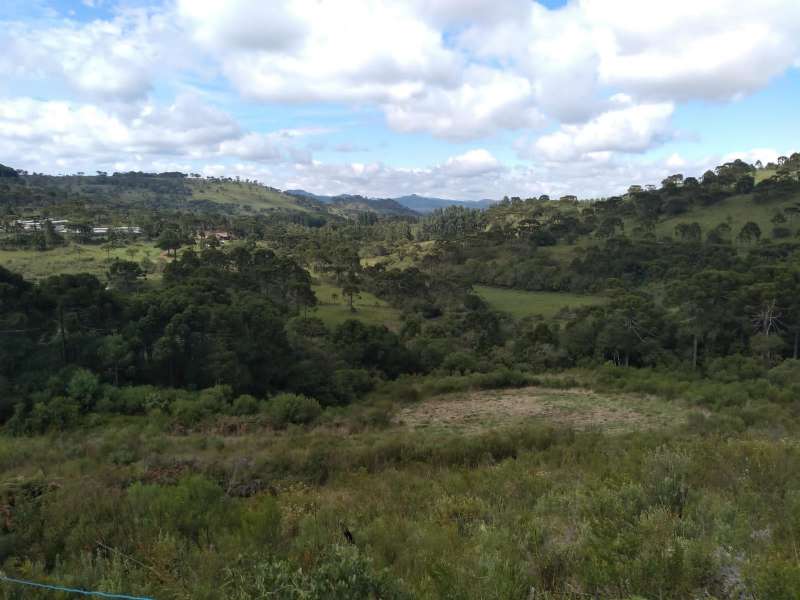 Sítio no bairro Centro