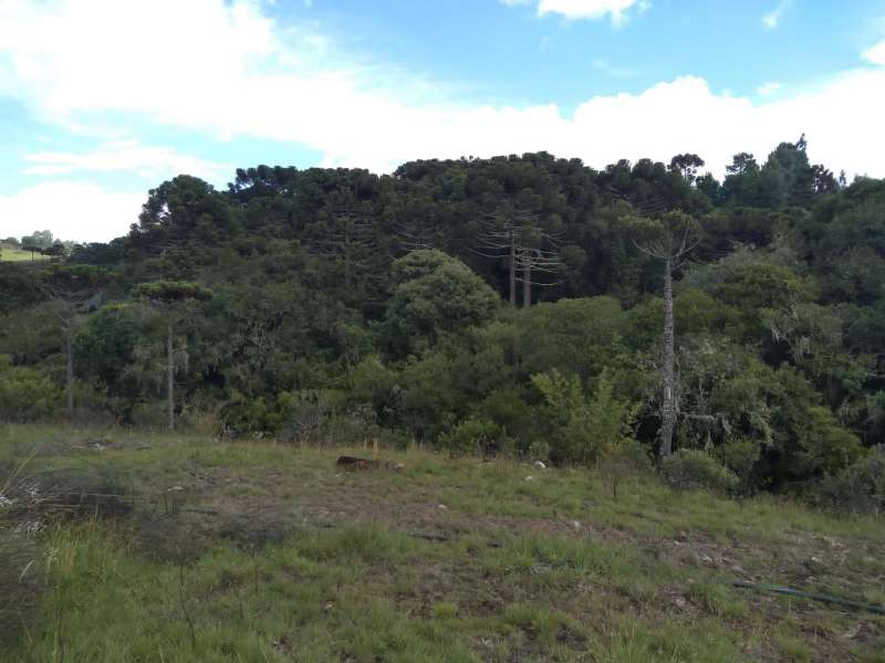 Sítio no bairro Centro