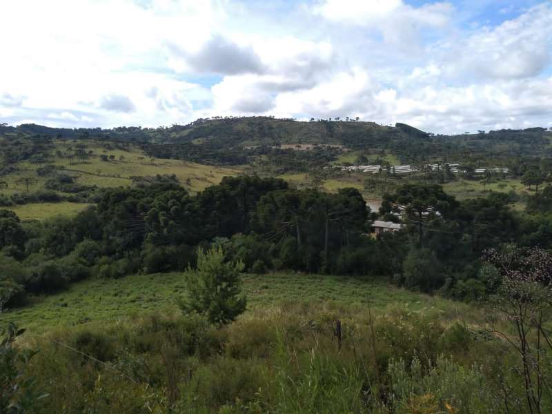 Sítio no bairro Centro