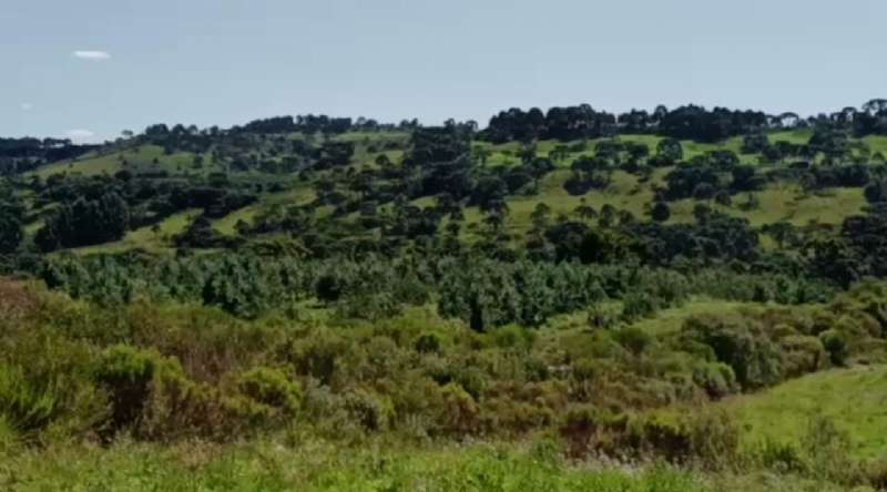 Sítio no bairro Centro