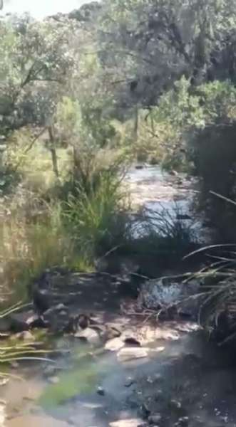 Sítio no bairro Centro