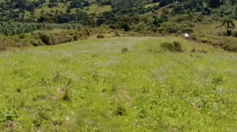 Sítio no bairro Centro