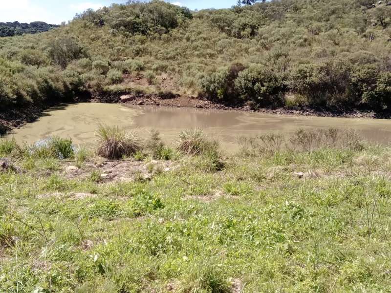 Sítio no bairro Centro