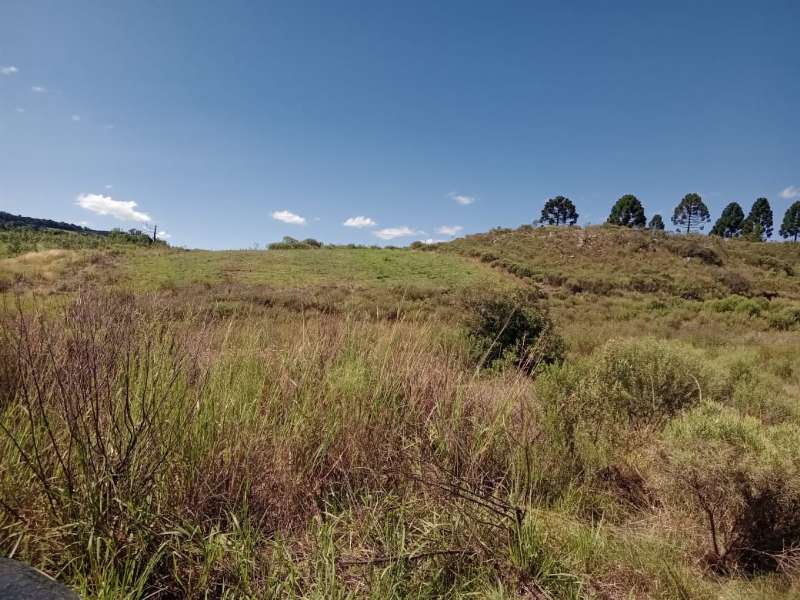 Sítio no bairro Centro