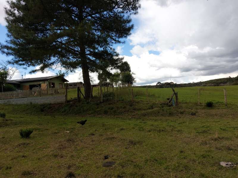 Sítio no bairro Interior